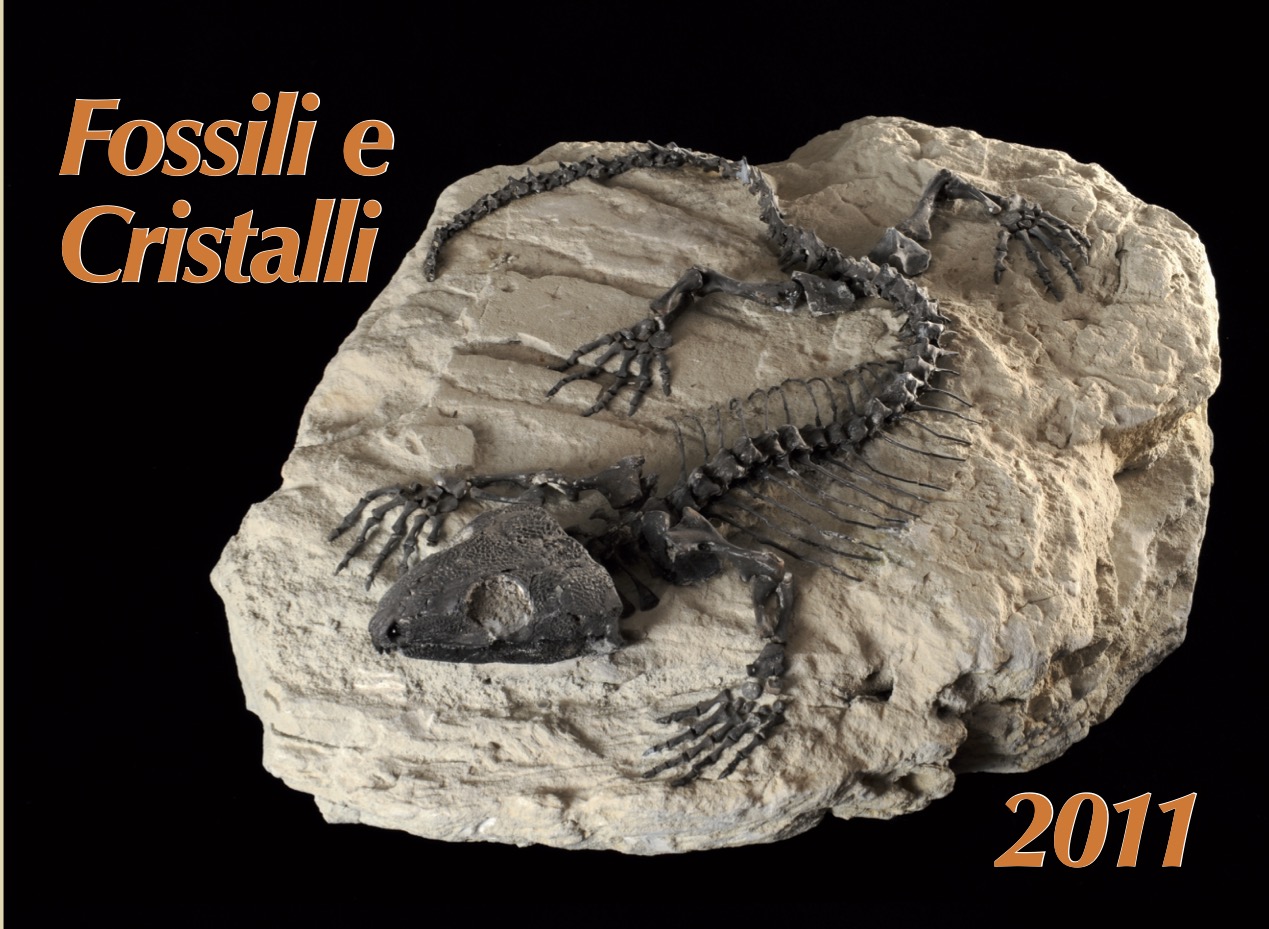 CALENDARIO 2011