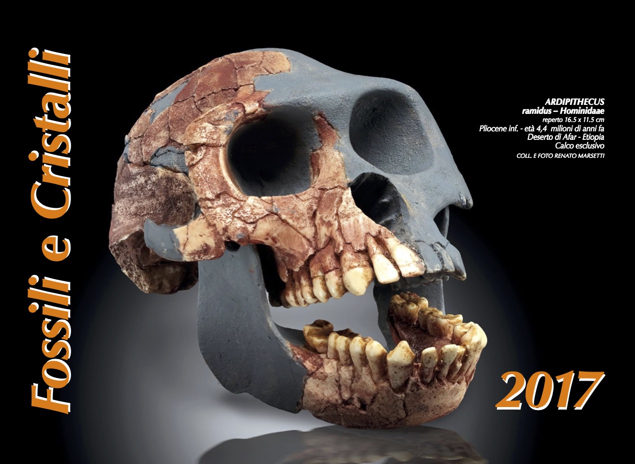 CALENDARIO 2017