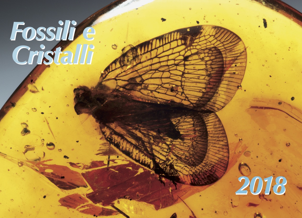CALENDARIO 2018