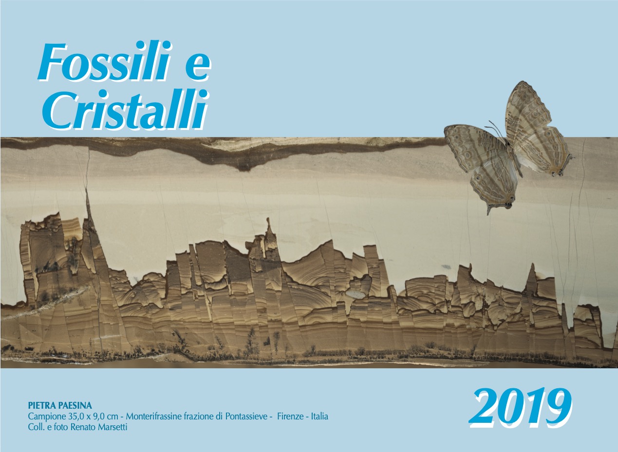 CALENDARIO 2019